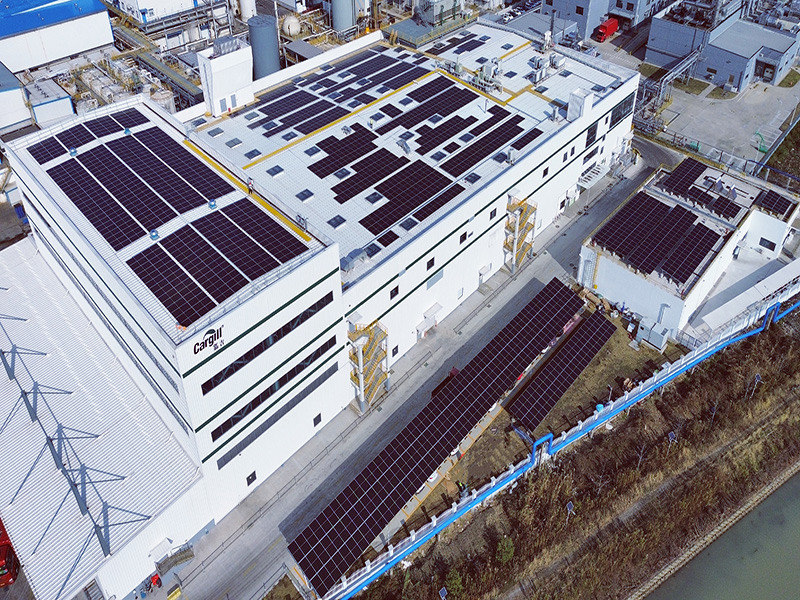 平湖嘉吉750KW分布式光伏發電項目